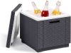 Keter Allibert Koelbox Ice Cube Cappuccino 223761 online kopen